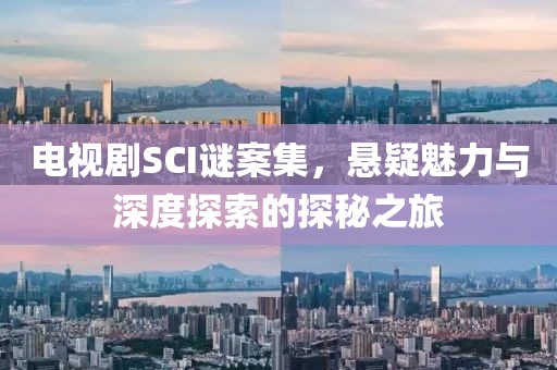 电视剧SCI谜案集，悬疑魅力与深度探索的探秘之旅