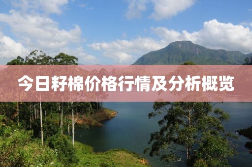 今日籽棉价格行情及分析概览