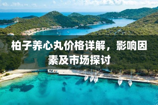 柏子养心丸价格详解，影响因素及市场探讨