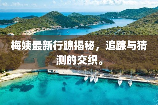 梅姨最新行踪揭秘，追踪与猜测的交织。