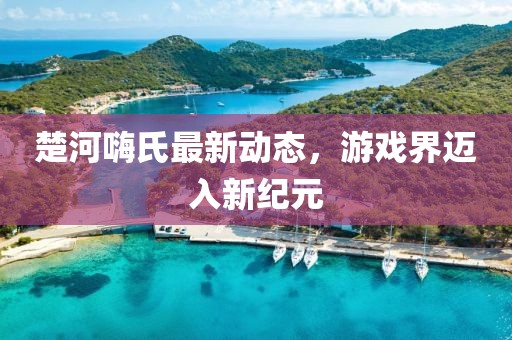楚河嗨氏最新动态，游戏界迈入新纪元