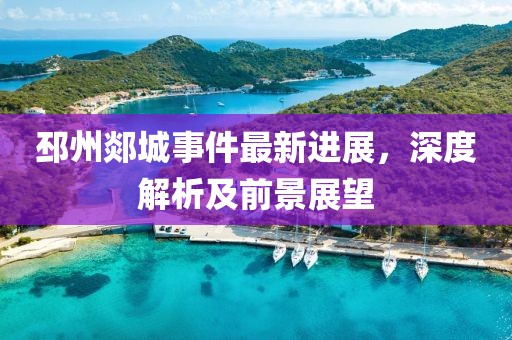邳州郯城事件最新进展，深度解析及前景展望