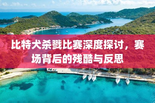 比特犬杀戮比赛深度探讨，赛场背后的残酷与反思