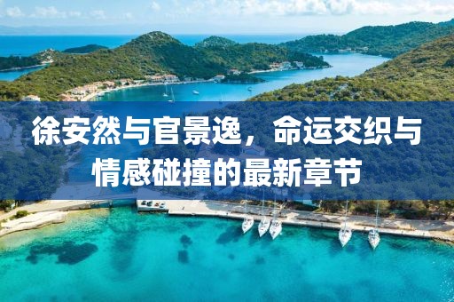 徐安然与官景逸，命运交织与情感碰撞的最新章节