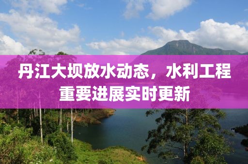 丹江大坝放水动态，水利工程重要进展实时更新