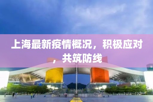 上海最新疫情概况，积极应对，共筑防线