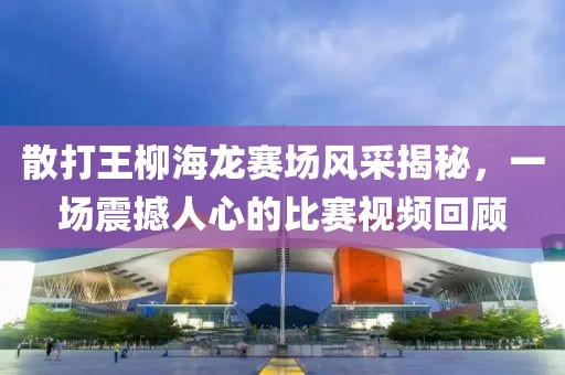 散打王柳海龙赛场风采揭秘，一场震撼人心的比赛视频回顾