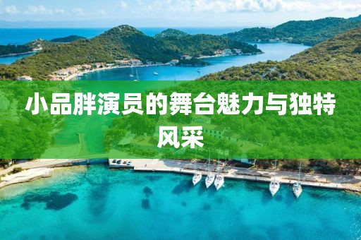 小品胖演员的舞台魅力与独特风采