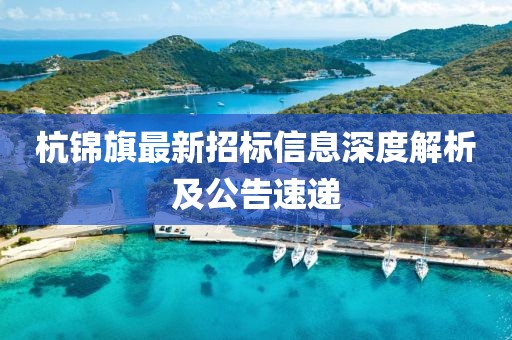 杭锦旗最新招标信息深度解析及公告速递