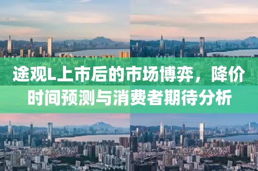 途观L上市后的市场博弈，降价时间预测与消费者期待分析