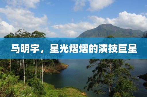 马明宇，星光熠熠的演技巨星