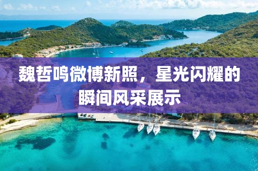魏哲鸣微博新照，星光闪耀的瞬间风采展示