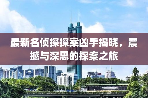 最新名侦探探案凶手揭晓，震撼与深思的探案之旅