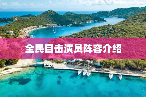 全民目击演员阵容介绍