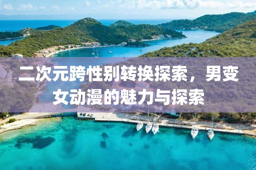 二次元跨性别转换探索，男变女动漫的魅力与探索