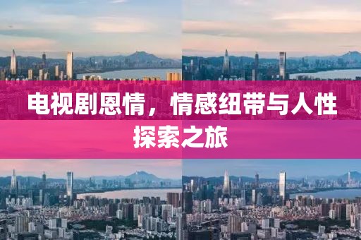 电视剧恩情，情感纽带与人性探索之旅