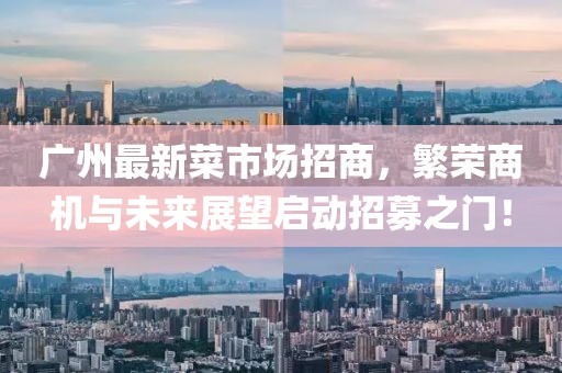 广州最新菜市场招商，繁荣商机与未来展望启动招募之门！