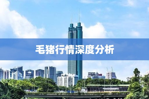 毛猪行情深度分析