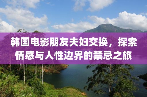 韩国电影朋友夫妇交换，探索情感与人性边界的禁忌之旅