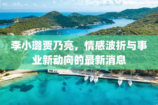 李小璐贾乃亮，情感波折与事业新动向的最新消息