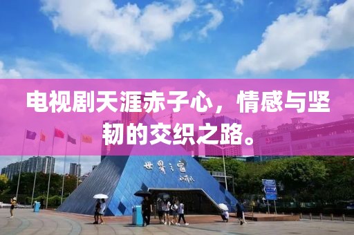 电视剧天涯赤子心，情感与坚韧的交织之路。