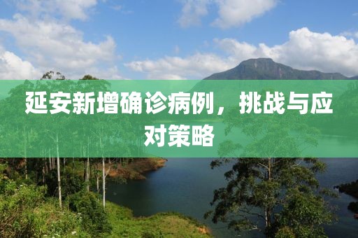 延安新增确诊病例，挑战与应对策略