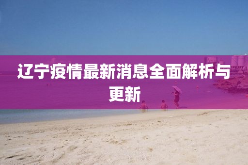 辽宁疫情最新消息全面解析与更新