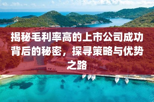 揭秘毛利率高的上市公司成功背后的秘密，探寻策略与优势之路