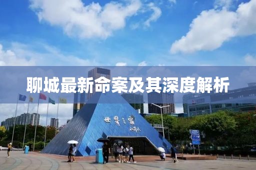 聊城最新命案及其深度解析