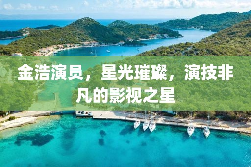 金浩演员，星光璀璨，演技非凡的影视之星