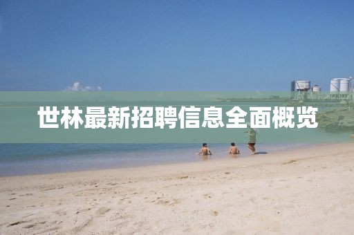 世林最新招聘信息全面概览