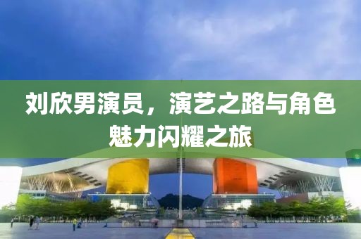 刘欣男演员，演艺之路与角色魅力闪耀之旅