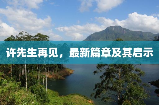 许先生再见，最新篇章及其启示