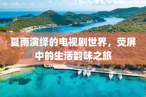 夏雨演绎的电视剧世界，荧屏中的生活韵味之旅