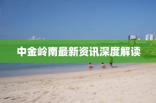 中金岭南最新资讯深度解读