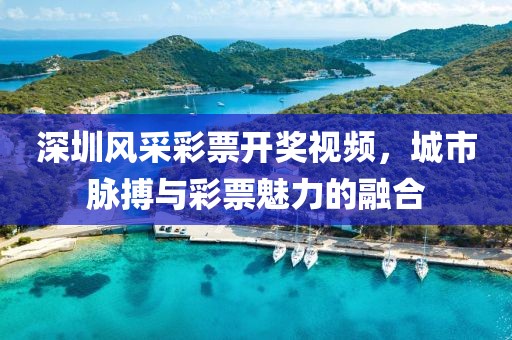 深圳风采彩票开奖视频，城市脉搏与彩票魅力的融合