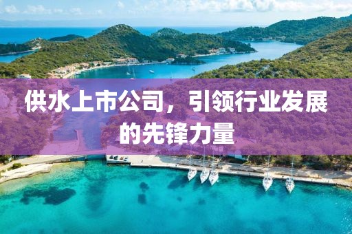 供水上市公司，引领行业发展的先锋力量