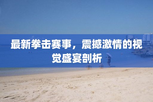 最新拳击赛事，震撼激情的视觉盛宴剖析