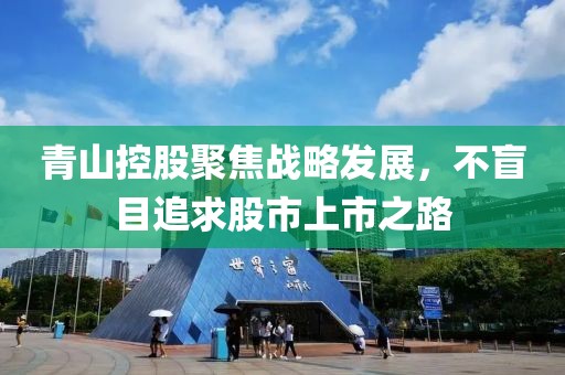 青山控股聚焦战略发展，不盲目追求股市上市之路