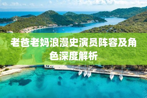 老爸老妈浪漫史演员阵容及角色深度解析