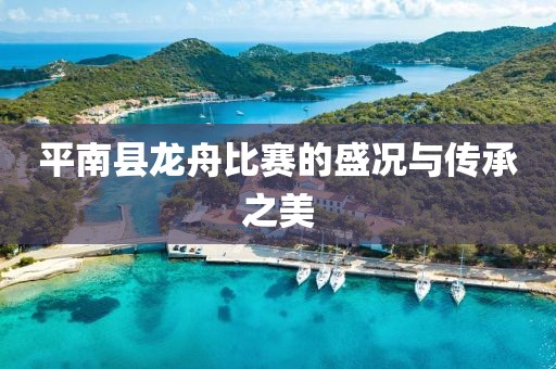 平南县龙舟比赛的盛况与传承之美