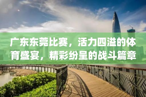 广东东莞比赛，活力四溢的体育盛宴，精彩纷呈的战斗篇章