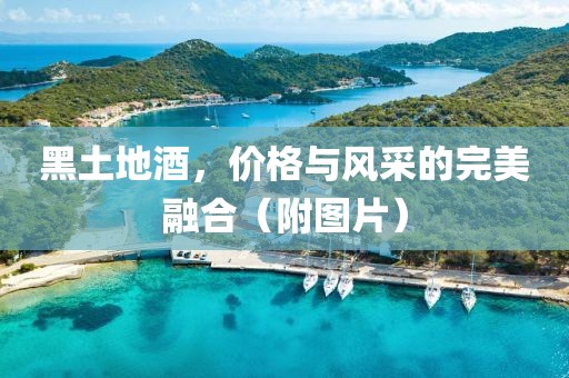 黑土地酒，价格与风采的完美融合（附图片）