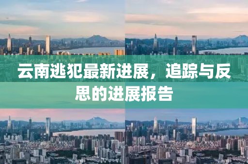 云南逃犯最新进展，追踪与反思的进展报告