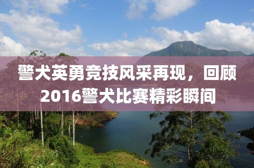 警犬英勇竞技风采再现，回顾2016警犬比赛精彩瞬间