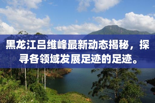 黑龙江吕维峰最新动态揭秘，探寻各领域发展足迹的足迹。