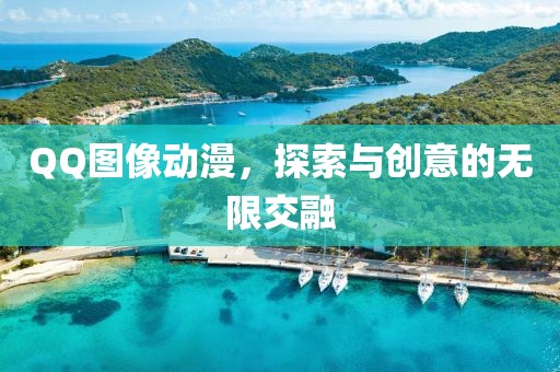 2024年12月 第13页