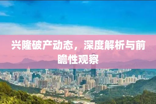 兴隆破产动态，深度解析与前瞻性观察