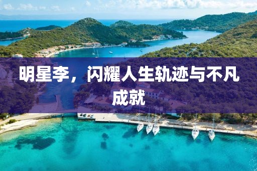 明星李，闪耀人生轨迹与不凡成就