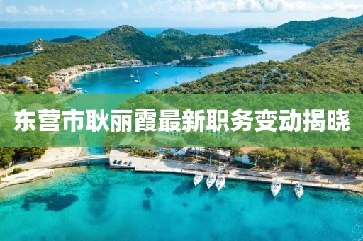 东营市耿丽霞最新职务变动揭晓
